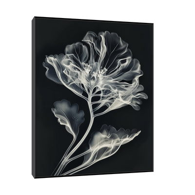 Flower X-Ray III