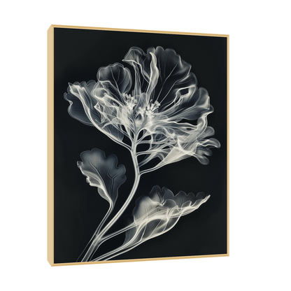 Flower X-Ray III
