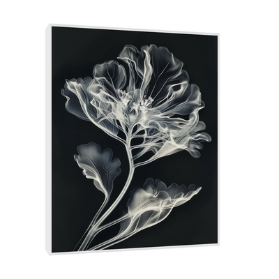 Flower X-Ray III