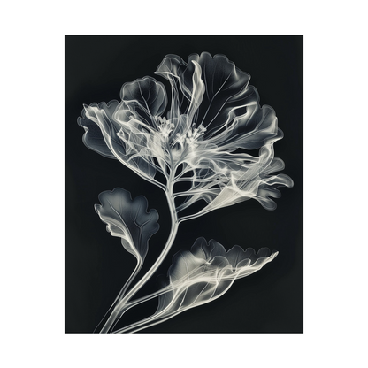 Flower X-Ray III