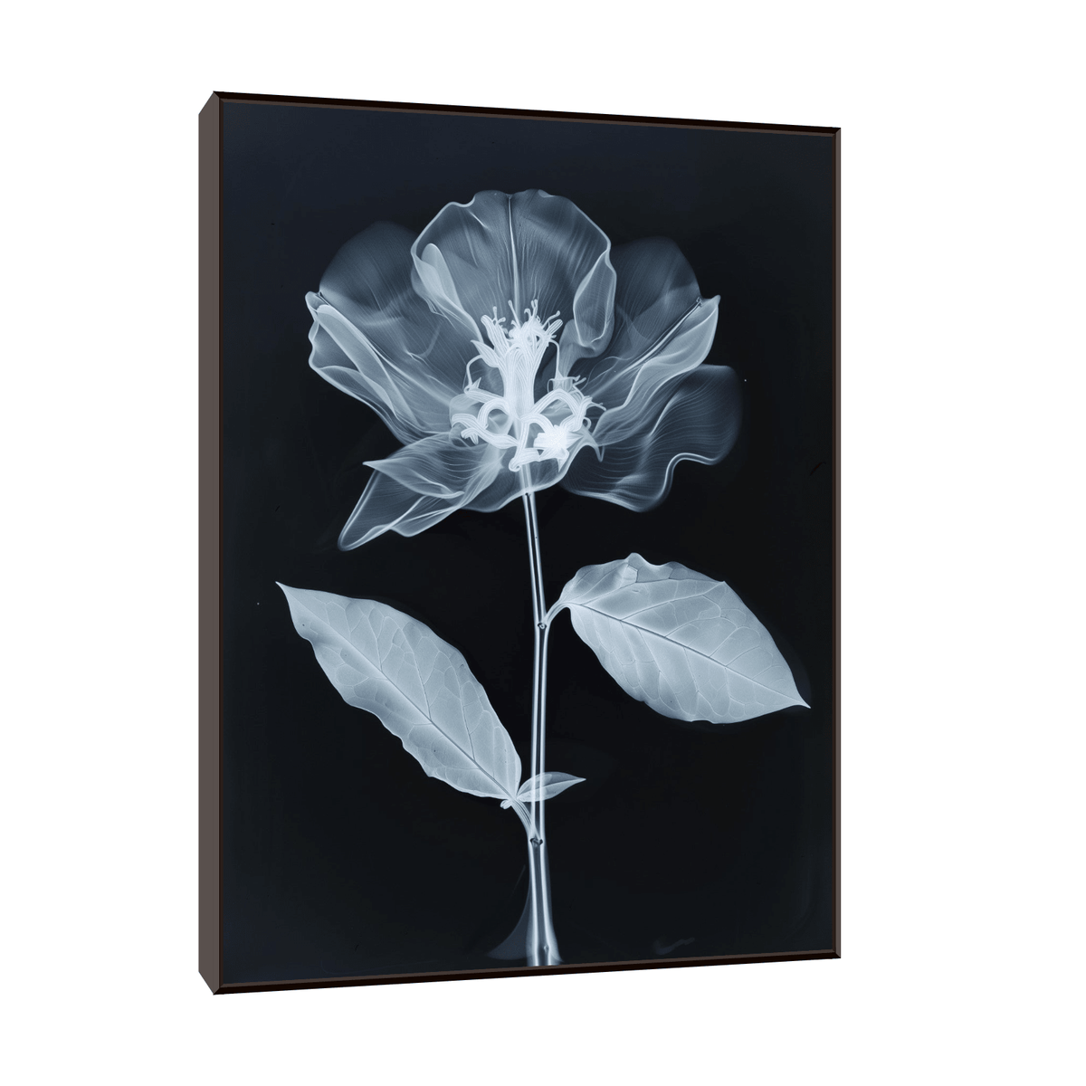 Flower X-Ray V - ArtDeco Canvas