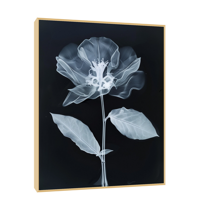 Flower X-Ray V