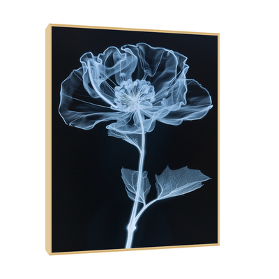 Flower X-Ray VI