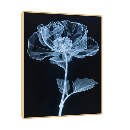 Flower X-Ray VI