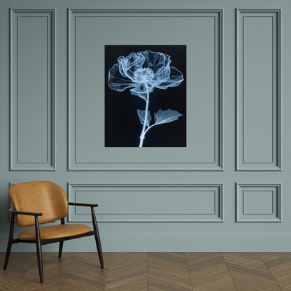 Flower X-Ray VI