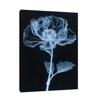 Flower X-Ray Vl - ArtDeco Canvas