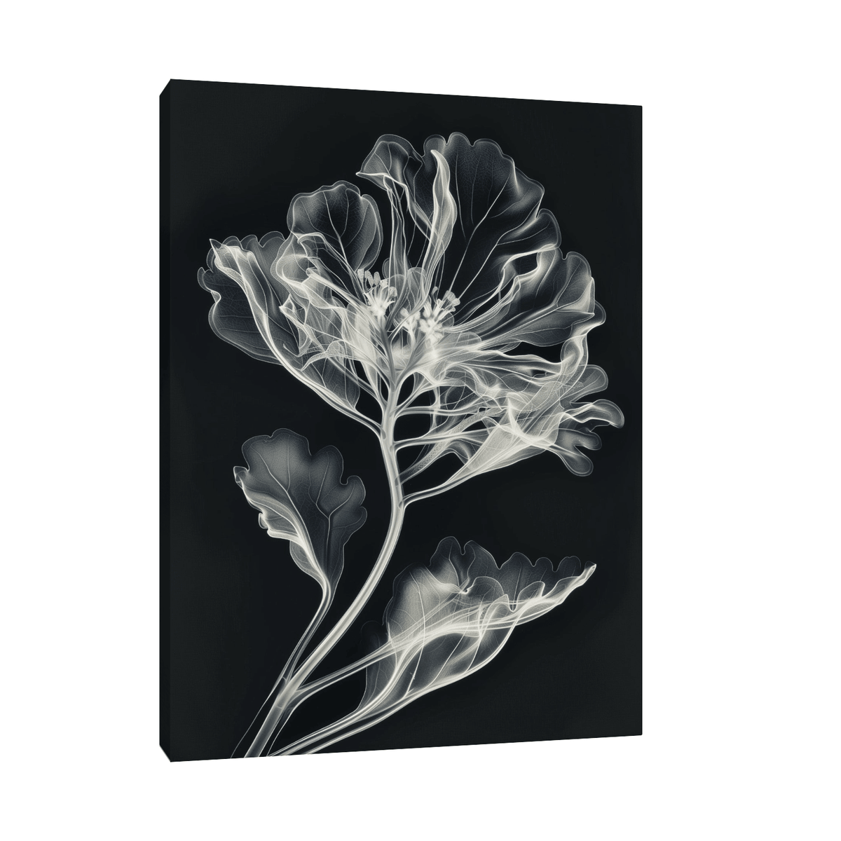 Flower X-Ray lll - ArtDeco Canvas