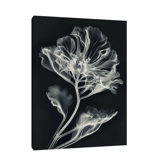 Flower X-Ray lll - ArtDeco Canvas