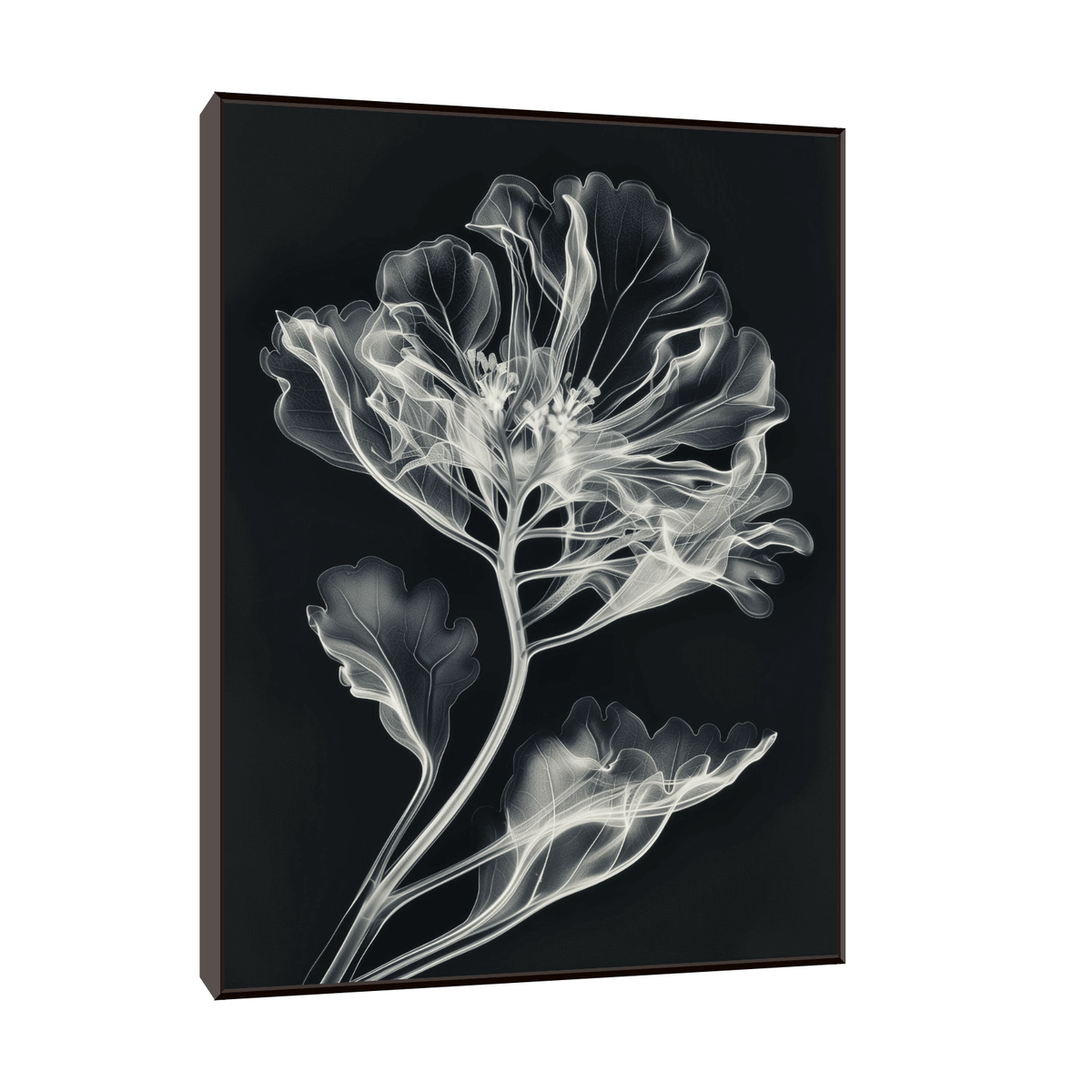 Flower X-Ray lll - ArtDeco Canvas