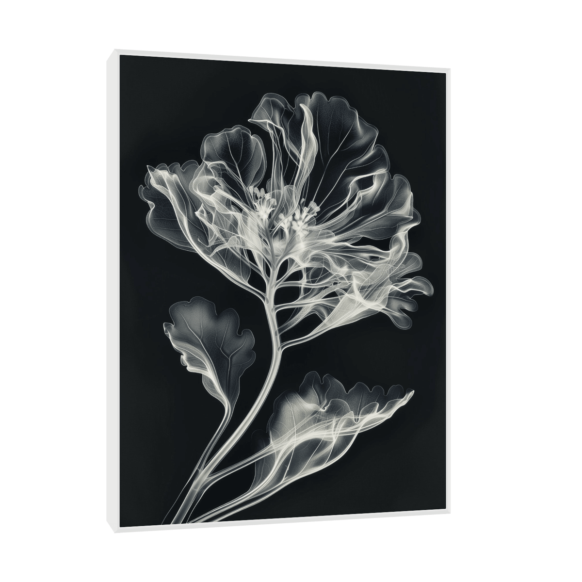 Flower X-Ray lll - ArtDeco Canvas