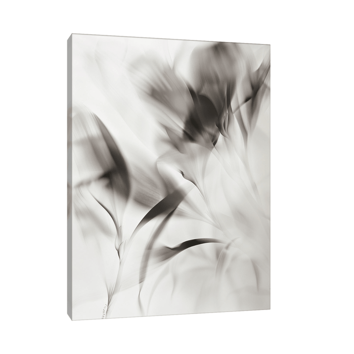 Flowers X-Ray - ArtDeco Canvas