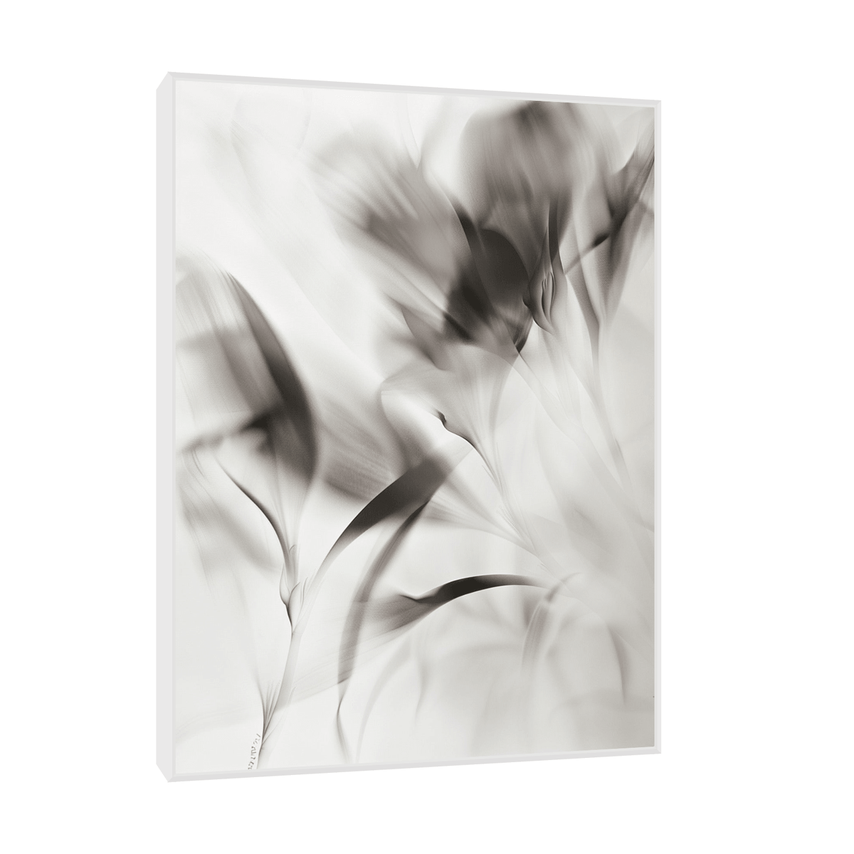 Flowers X-Ray - ArtDeco Canvas