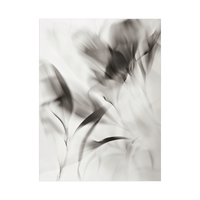 Flowers X-Ray - ArtDeco Canvas