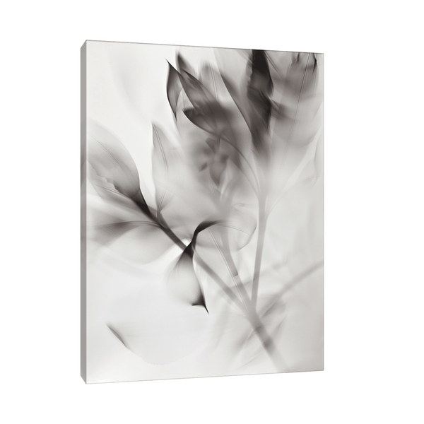 Flowers X-Ray ll - ArtDeco Canvas