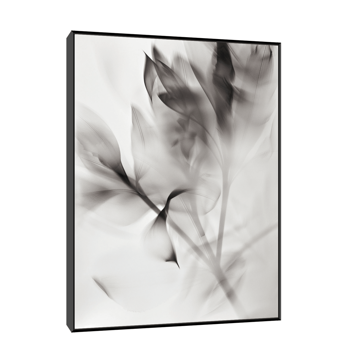 Flowers X-Ray ll - ArtDeco Canvas