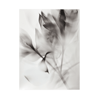 Flowers X-Ray ll - ArtDeco Canvas