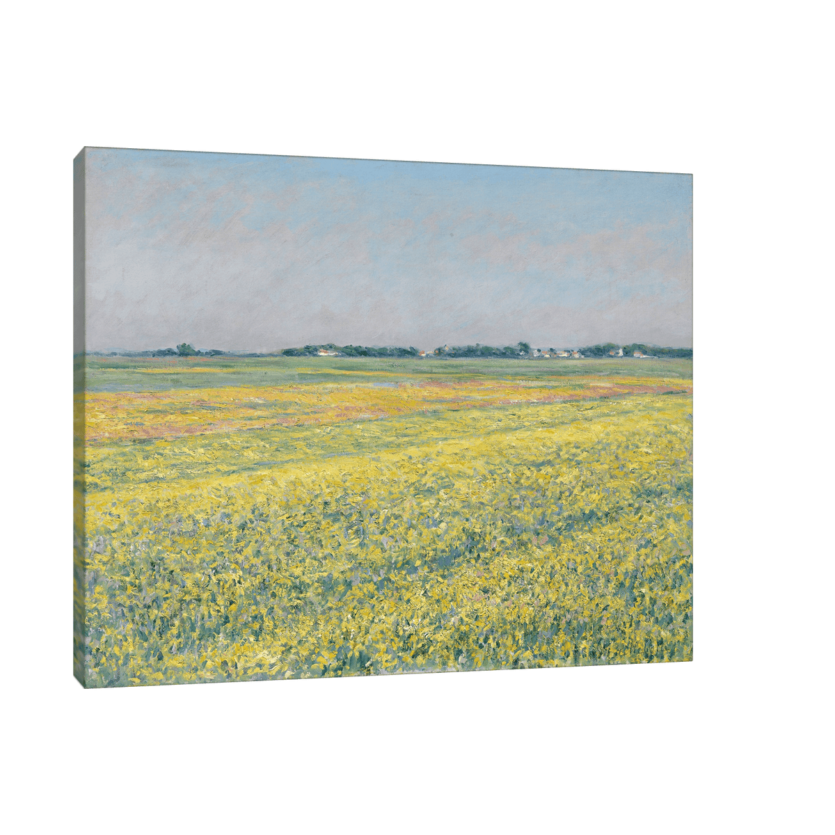 The plain of Gennevilliers, yellow fields, Gustave Caillebotte - ArtDeco Canvas