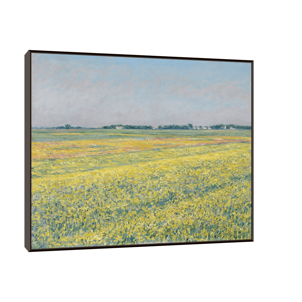 The plain of Gennevilliers, yellow fields, Gustave Caillebotte - ArtDeco Canvas