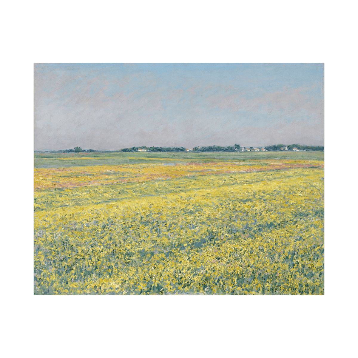 The plain of Gennevilliers, yellow fields, Gustave Caillebotte - ArtDeco Canvas