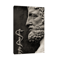 God of treatment Asclepius - ArtDeco Canvas