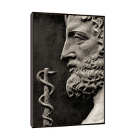 God of treatment Asclepius - ArtDeco Canvas