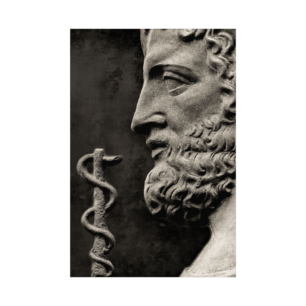 God of treatment Asclepius - ArtDeco Canvas