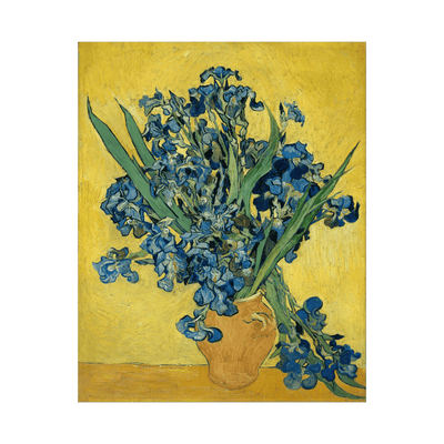 Irises, Vincent van Gogh - ArtDeco Canvas