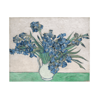 Irises, Vincent van Gogh - ArtDeco Canvas