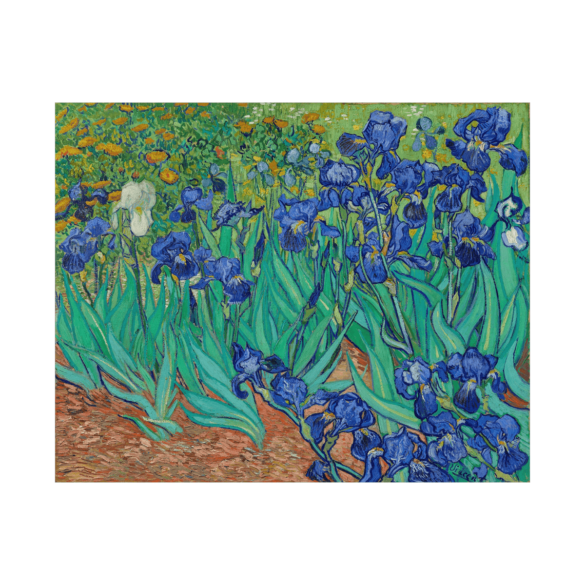 Irises, Vincent van Gogh - ArtDeco Canvas