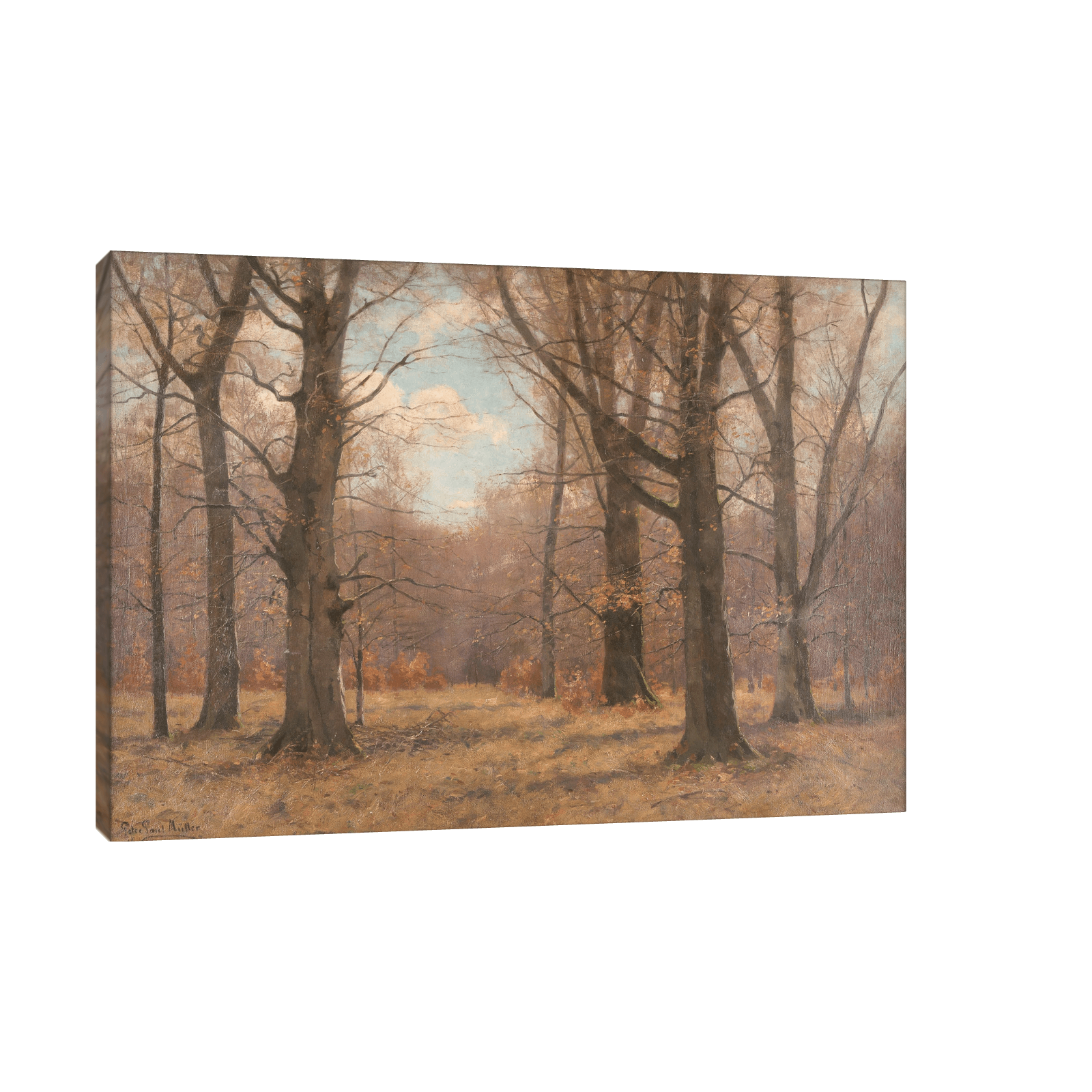 Late fall in the beech forest, Peter Paul Müller - ArtDeco Canvas