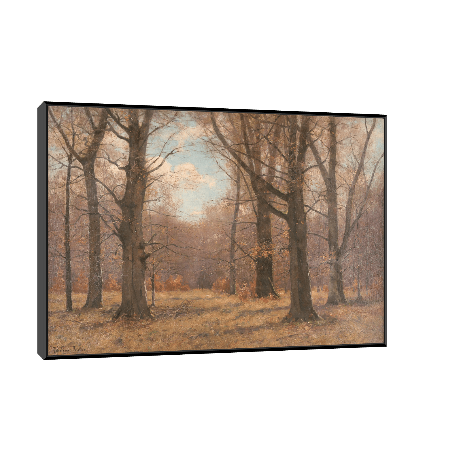 Late fall in the beech forest, Peter Paul Müller - ArtDeco Canvas