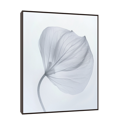 Leaf X-Ray