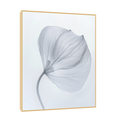 Leaf X-Ray