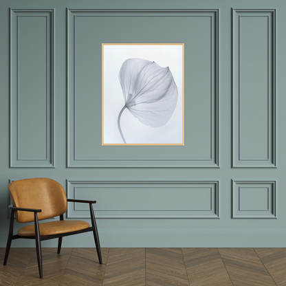 Leaf X-Ray