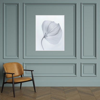 Leaf X-Ray