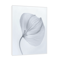 Leaf X-Ray - ArtDeco Canvas