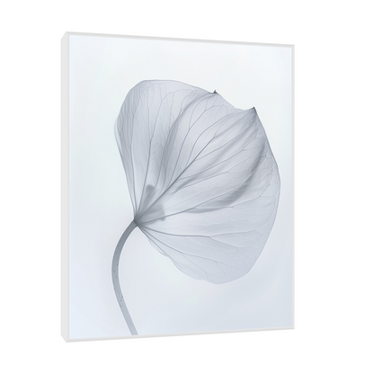 Leaf X-Ray