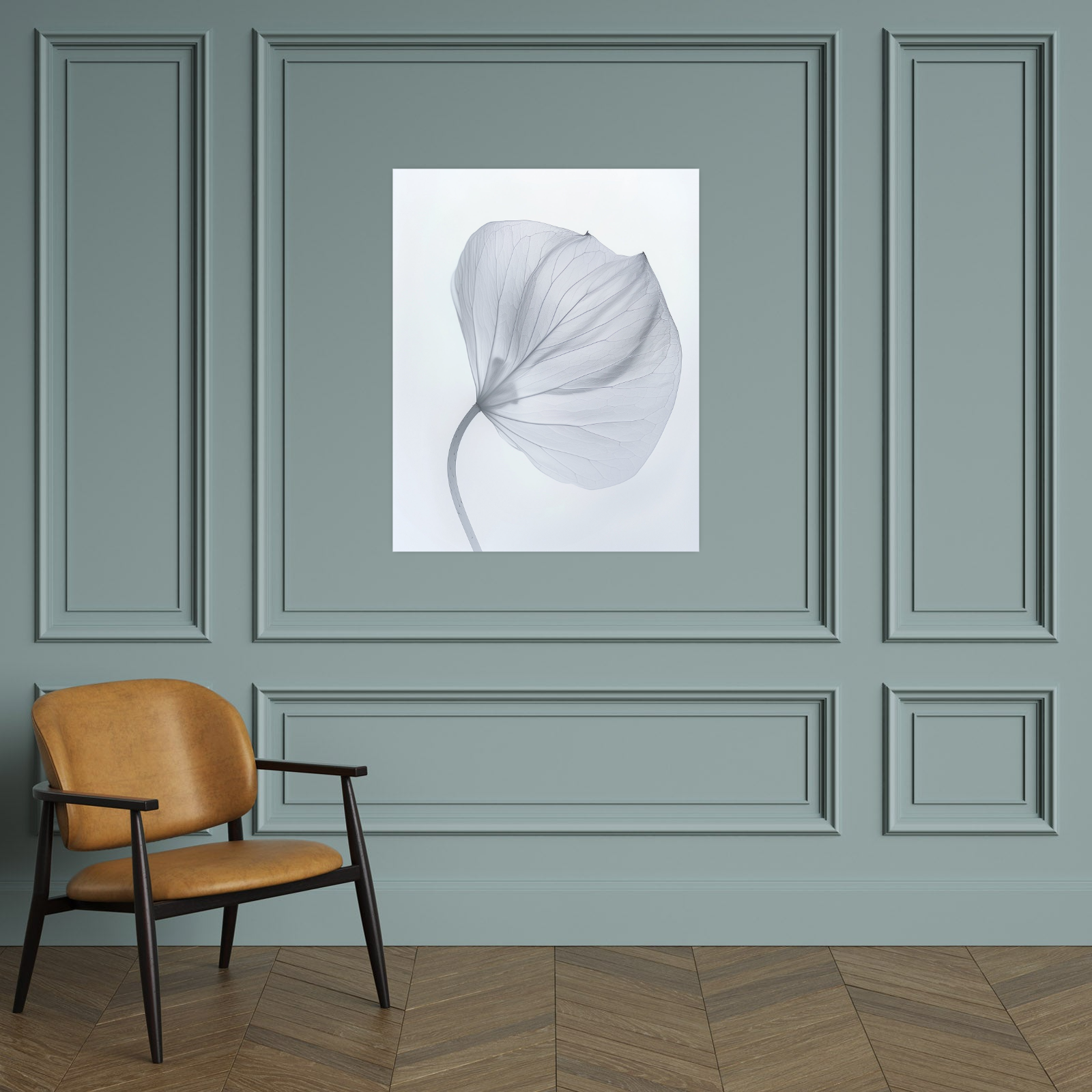 Leaf X-Ray