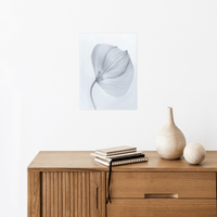 Leaf X-Ray - ArtDeco Canvas