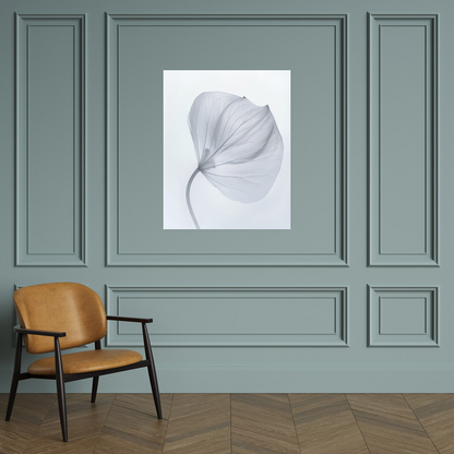 Leaf X-Ray