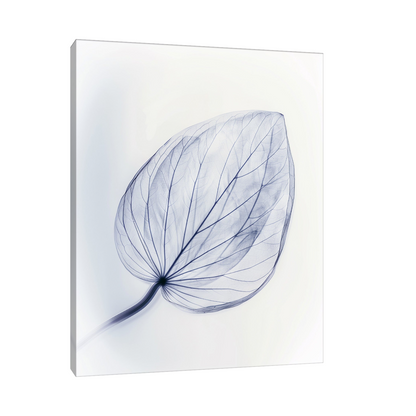Leaf X-Ray II