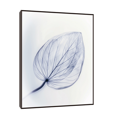 Leaf X-Ray II