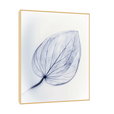 Leaf X-Ray II