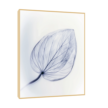 Leaf X-Ray II