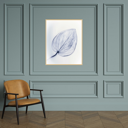 Leaf X-Ray II