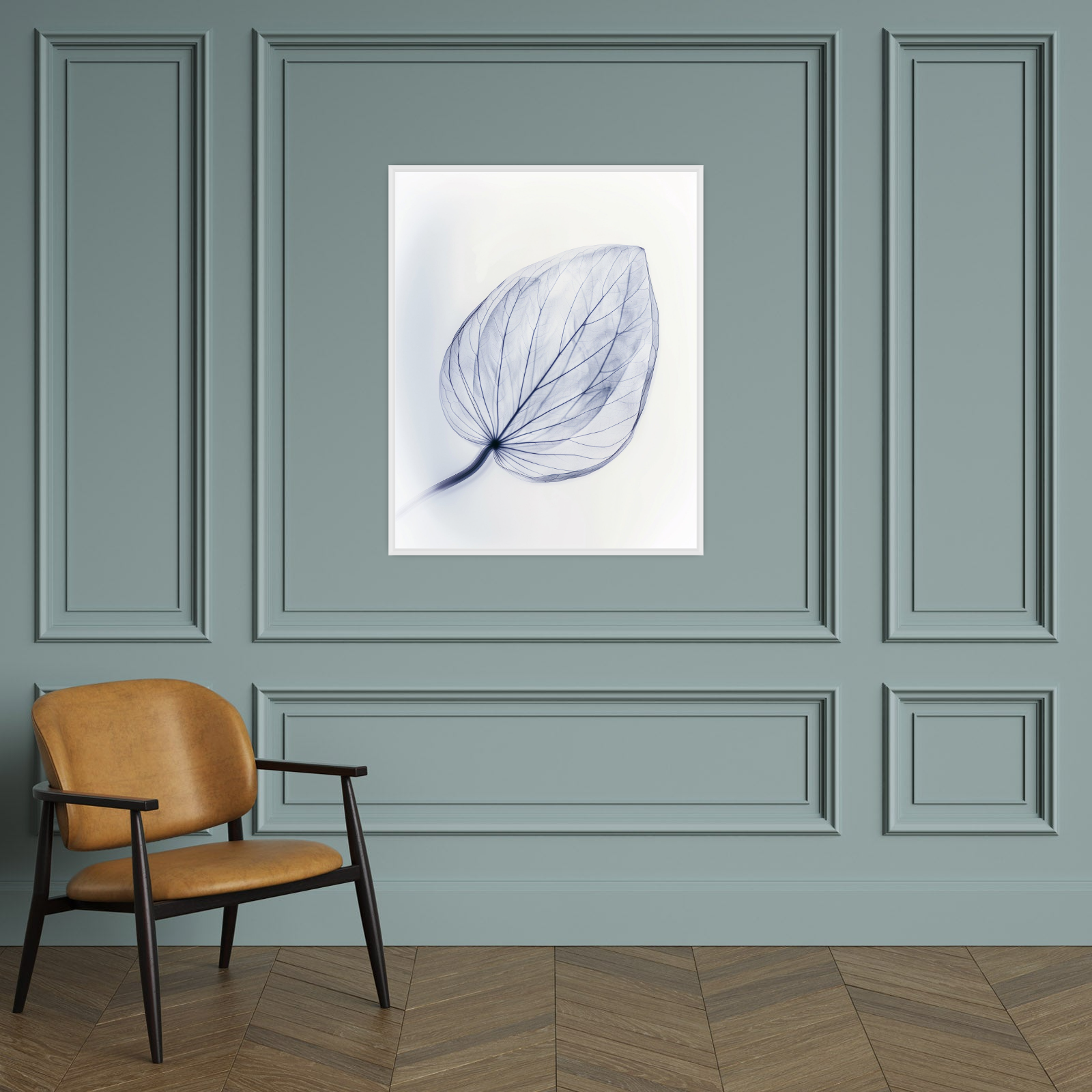Leaf X-Ray II