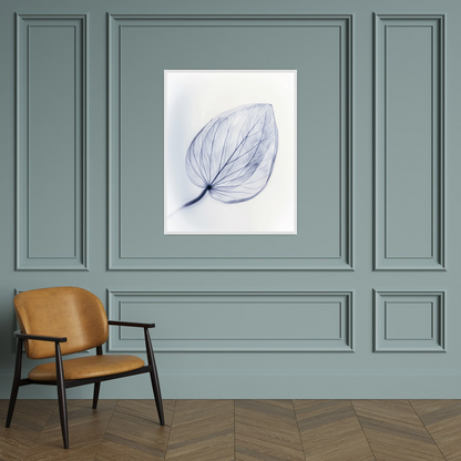 Leaf X-Ray II