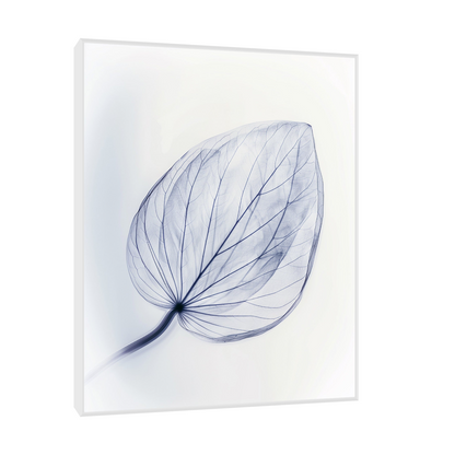 Leaf X-Ray II