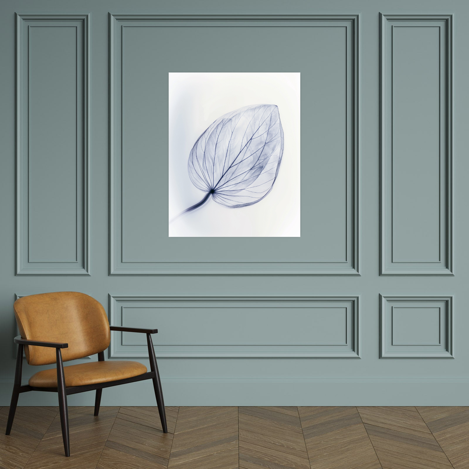 Leaf X-Ray II
