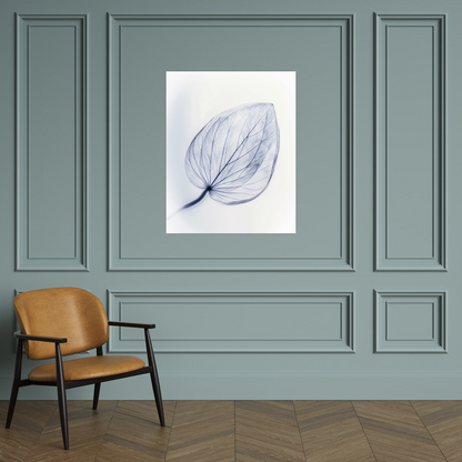 Leaf X-Ray II